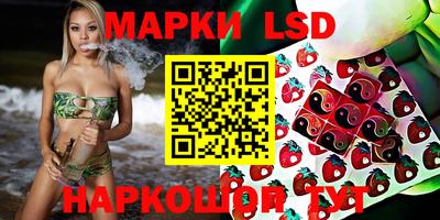 ПСИЛОЦИБИНОВЫЕ ГРИБЫ Малгобек