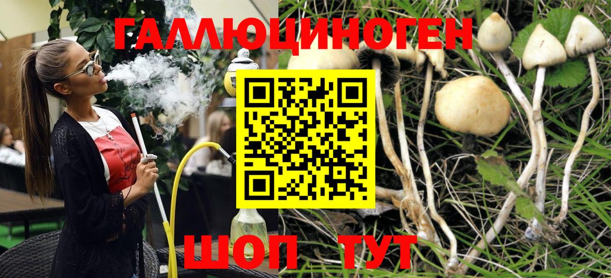 Тольятти  Псилоцибиновые грибы GOLDEN TEACHER  где продают   Вход с VPN  Галлюциногенные грибы GOLDEN TEACHER 